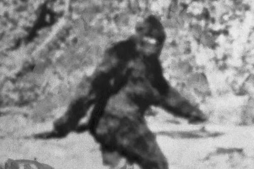 Bí ẩn về 'quái vật' Bigfoot ít người biết
