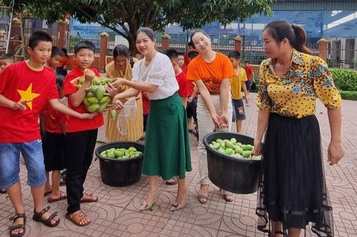 Thầy cô háo hức bắc thang hái 1.000 quả xoài tặng học sinh cuối năm