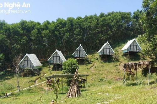 Có gì trong khu homestay bị 'tuýt còi' ở Đảo Chè Thanh An?