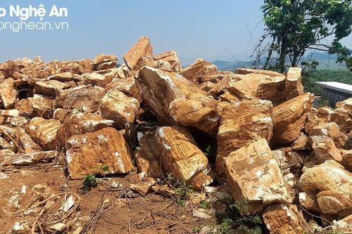 Điều tra vụ khai thác đá cảnh ở huyện Quỳ Hợp