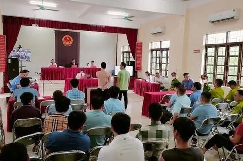 Xét xử lưu động 2 đối tượng về tội hủy hoại rừng tại Quảng Ninh