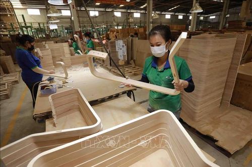 Doanh nghiệp gỗ Bình Dương thay đổi để vượt khó