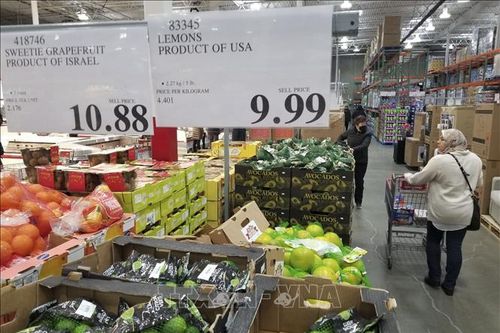 Người Việt tại Canada nỗ lực thích ứng với lạm phát