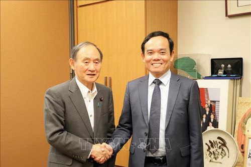 Phó Thủ tướng Chính phủ Trần Lưu Quang thăm và làm việc tại Nhật Bản