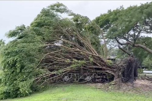 Bão Mawar đổ bộ vào lãnh thổ Guam thuộc Mỹ