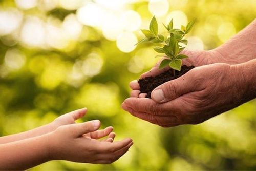 Vất vả không làm ra yêu thương