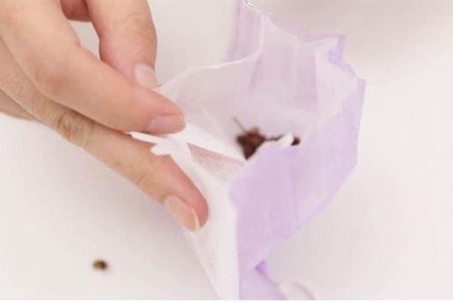Đặt nắm hạt tiêu dưới gầm giường, lợi đủ đường mà nhiều người chưa biết