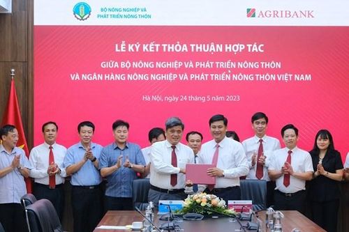 Tăng nguồn lực tín dụng cho nông nghiệp, nông thôn