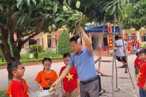 Thầy cô giáo hái xoài ngay trong khuôn viên trường tặng cho học trò ở buổi lễ tổng kết năm học