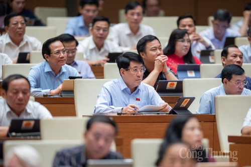 Luật Đấu thầu (sửa đổi): Đối tượng doanh nghiệp nào phải đấu thầu?