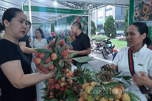 Đưa trái cây, nông sản an toàn đến với người tiêu dùng Thủ đô