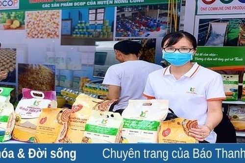 Xây dựng thương hiệu cho các sản phẩm gạo xứ Thanh