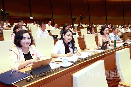 Kỳ họp thứ 5 Quốc hội khóa XV: Thảo luận về một số dự án Luật