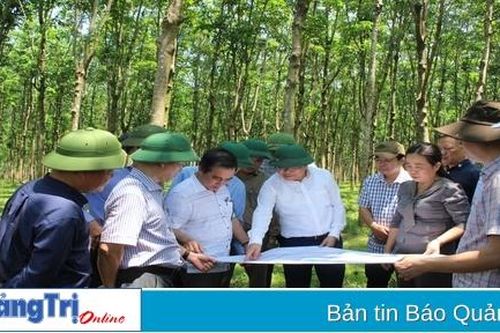 Kiểm tra, xử lý các vướng mắc trong giải phóng mặt bằng và tái định cư thuộc dự án cao tốc Vạn Ninh - Cam Lộ