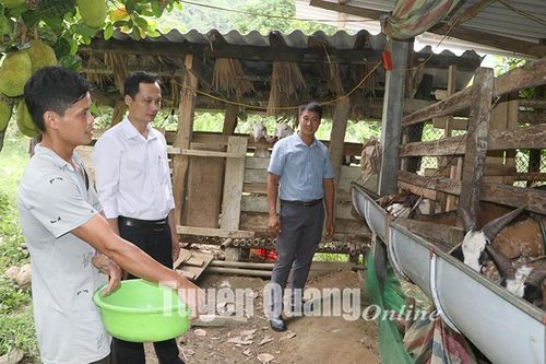 Từng bước chuẩn hóa đội ngũ cán bộ, công chức cấp xã