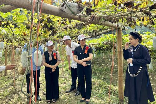 Gia tăng giá trị cho đặc sản - Câu chuyện bí xanh thơm Ba Bể