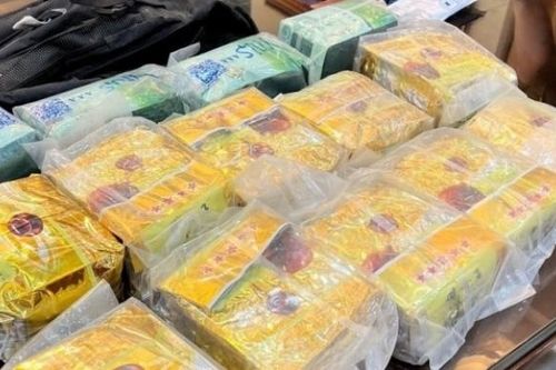 Hải quan Thanh Hóa phối hợp bắt 14kg ma túy tổng hợp