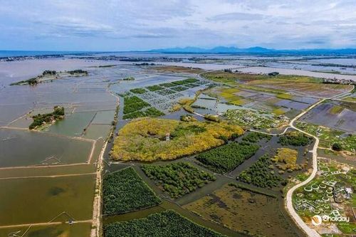 Bảo tồn đa dạng sinh học: Đảm bảo tương lai bền vững cho tất cả mọi người