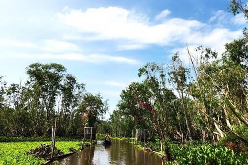 ĐBSCL: Công nhận và tái công nhận 14 điểm du lịch tiêu biểu năm 2023