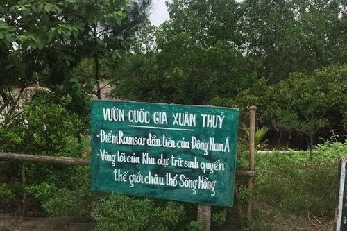 Hà Nội: Nghiêm cấm hoạt động trải nghiệm tự phát sau sự cố tại Vườn quốc gia Xuân Thủy