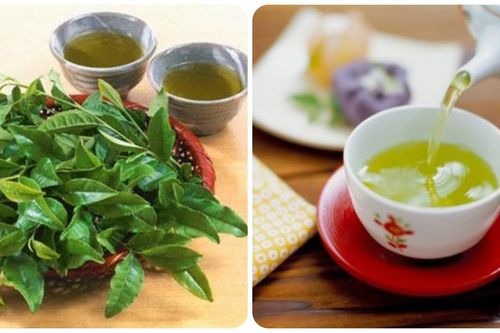Bạn đã thực sự biết uống chè xanh đúng cách chưa?