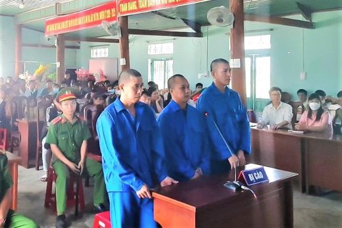 Nhóm lâm tặc chặt phá hơn 147 m3 gỗ ở Kon Tum lãnh án