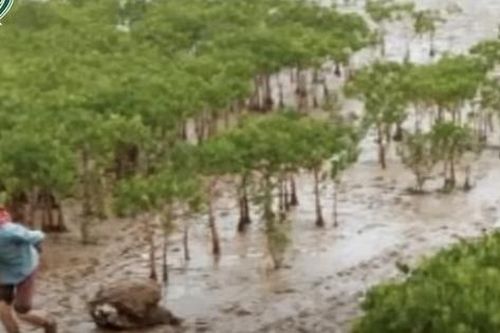 Sáng 24/5: Phát hiện điểm 'lạ' trong vụ học sinh và phụ huynh tử vong khi trải nghiệm bắt ngao
