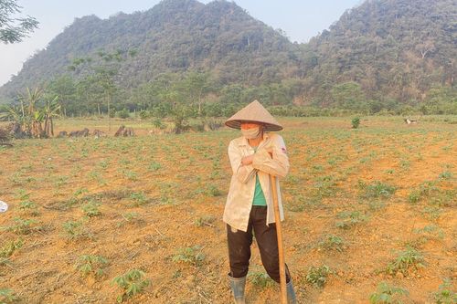 Nắng nóng, hạn hán bắt đầu 'tấn công' vào nông nghiệp, nhiều nơi thiếu nước