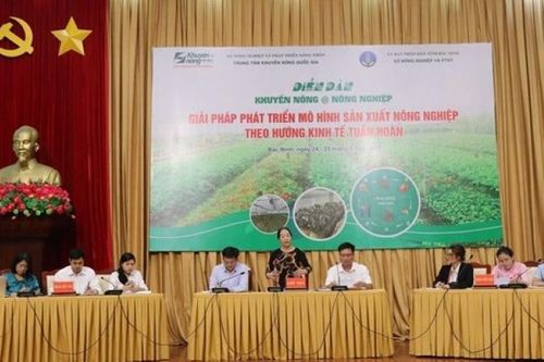 Giải pháp phát triển mô hình sản xuất nông nghiệp theo hướng kinh tế tuần hoàn