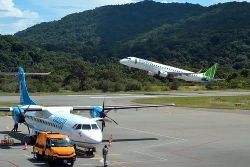 Hạn chế các sự cố do chim, động vật hoang dã tại sân bay Côn Đảo