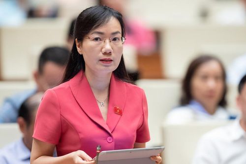 Dự án Luật Đấu thầu (sửa đổi): Còn ý kiến khác nhau về phạm vi áp dụng