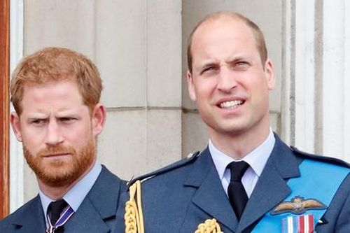 Chi tiết cho thấy sự quan tâm của William với Harry