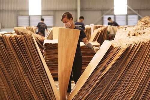 Doanh nghiệp xuất khẩu rơi vào thế khó