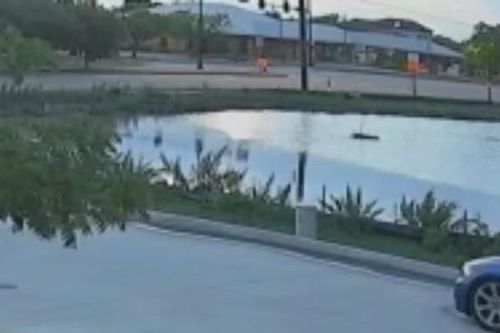Tài xế say rượu lái bán tải đâm vào gốc cây vẫn chạy tiếp dù đầu xe vỡ nát