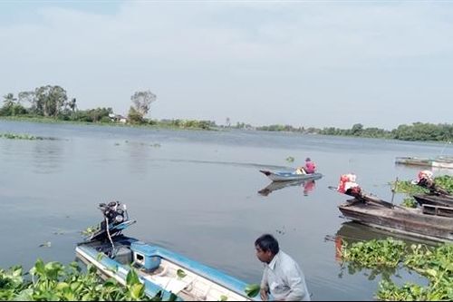 Vàm Cỏ Đông đẹp như trong tiếng hát