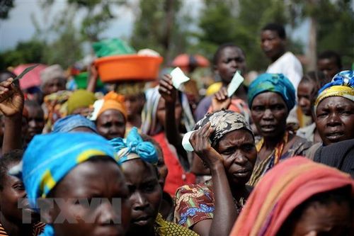 AfDB dự báo tăng trưởng kinh tế của châu Phi đạt 4% trong năm 2023