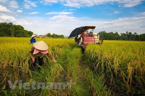 Cho phép chuyển nhượng vốn góp có làm mất đi bản chất của hợp tác xã?