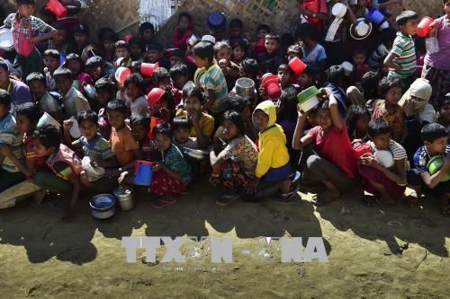 Myanmar thúc đẩy kế hoạch hồi hương người Rohingya từ Bangladesh
