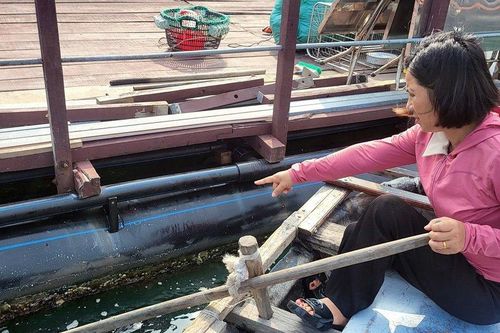 Hải Phòng: Chờ bàn giao mặt nước, lồng HDPE của hộ dân chưa dùng đã hỏng