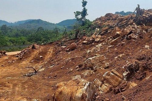 Điều tra vụ đối tượng đào hàng nghìn m2 để khai thác đá cảnh
