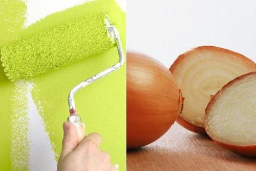 Thứ củ quen thuộc không ngờ lại giúp làm sạch đồ dùng, đuổi côn trùng hiệu quả