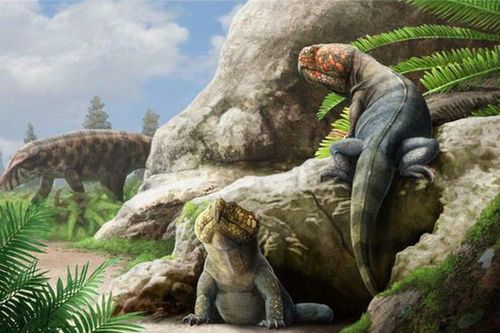 Mỹ: Xuất hiện quái thú 230 triệu tuổi 'lai' giữa cá sấu và chim