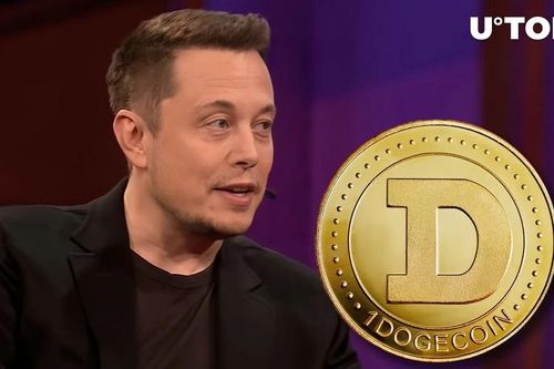 Elon Musk: Nhà đầu tư không nên đặt cược toàn bộ vào Dogecoin