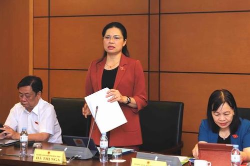 Chủ tịch Hội LHPN Việt Nam: Cần giải pháp mạnh mẽ, kịp thời hơn nữa phòng ngừa, xử lý nghiêm đối tượng bạo hành, xâm hại phụ nữ, trẻ em