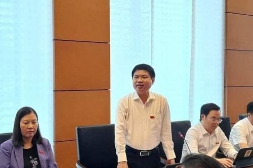 Đại biểu Quốc hội Trương Quốc Huy: Hãy nhìn thẳng vào khó khăn