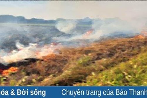 Thưa rằng tôi ở rất lâu quê nhà...