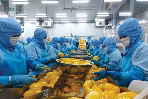 An Giang phát triển doanh nghiệp, hợp tác xã bằng khoa học và công nghệ
