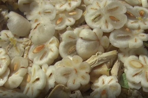 Nhơn Trạch cũng có… gỏi gà măng cụt