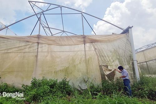 Nhiều sai phạm tại dự án Trung tâm Ứng dụng công nghệ sinh học tỉnh