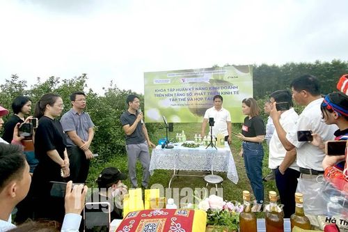 Nâng cao kỹ năng kinh doanh trên nền tảng số